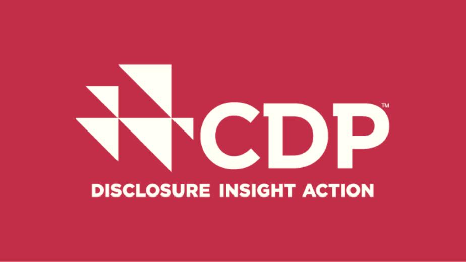 CDP logo